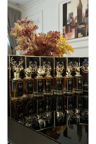 genric Package Niche perfume 100 ml
