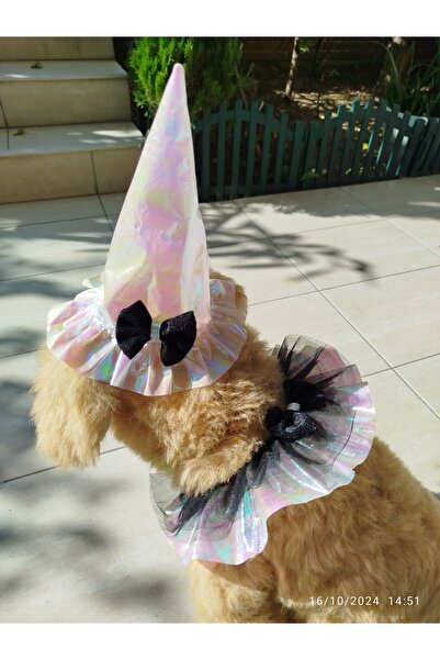 Winnie The Pet طوق قبعة حفلات القطط والكلاب