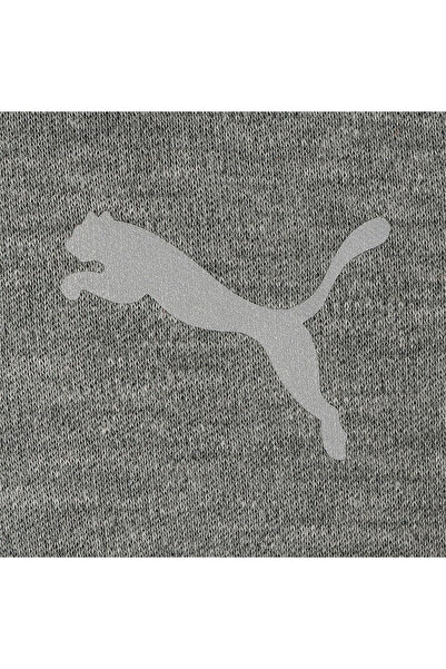 Puma Youth Boys Evostripe Full-zip Hoodie Sweat Jacket - Gray