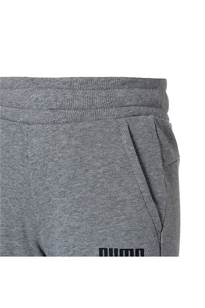 Puma Youth Boys Essentials Sweat Shorts - Gray
