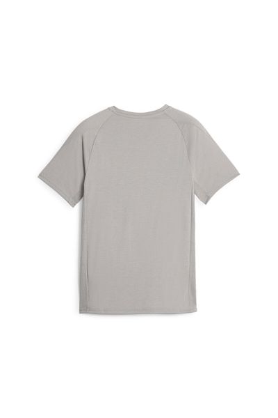 Puma Youth Boys Evostripe T-Shirt - Gray