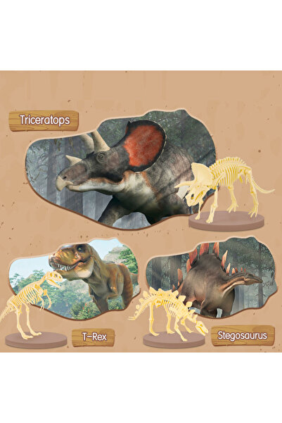 Deli Set creativ Detectiv de fosile Tyrannosaurus Deli