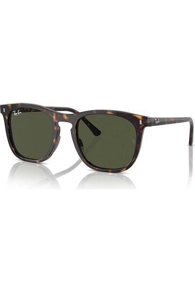 Ray-Ban Rb 2210 902/31 53