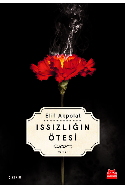Kırmızı Kedi Yayınları Issızlığın Ötesi
