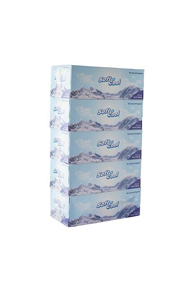 Soft N Cool Soft Facial Tissue 200 Sheets 2 Ply ,5 Boxes X 6 Outer Sterilized Tissue, 30 Boxes
