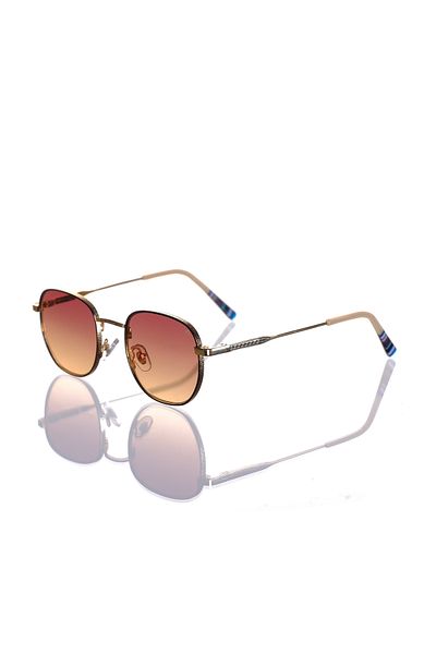 AR COLLECTİON Unisex Metal Sunglasses Ar249 C6