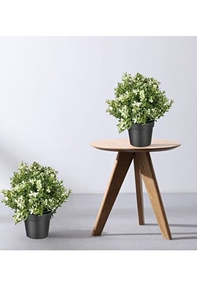 DRAMA HOME قطعتين من نبات اصطناعي في أصيص متعدد الألوان 22سم