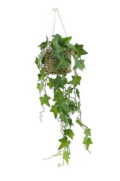 DRAMA HOME Artificial Hanging Plant Artificial Plants for Home, Bedroom, Garden, Indoor Outdoor Hanging Basket