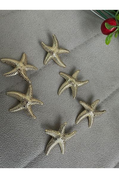 Merve 6-Piece Z.A.R.A Model Star Lacquered Luxury Button
