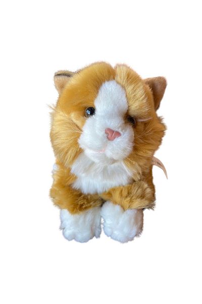 JPT Nat Geo Orange Tummy Time Plush Cat Toy