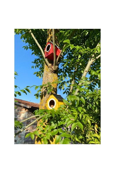 WoodenZoo Wooden Decorative Bird House Nest, Nest, Balcony, Garden Accessory 10 Pcs