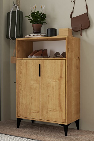 Evmo Home 1203 Ada Ayakkabılık 4 Raflı 2 Kapaklı Çok Amaçlı Dolap Safir