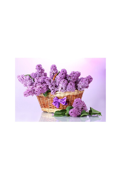 ve Tablou Canvas, Liliac in cosulet, flori, colorat 70 x 50 cm, Multicolor