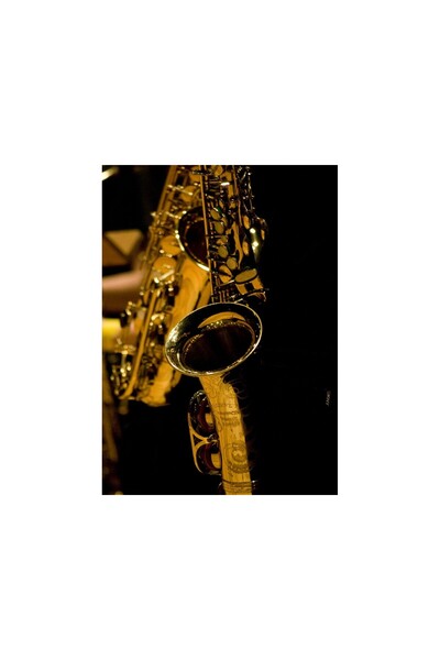 ve Tablou Canvas, Saxophone, 50 x 70 cm, Rama lemn, Multicolor