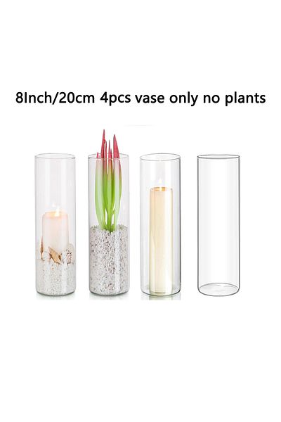 Choice 8inch 4PCs Glass Cylinder Vases 4 6 8 Inch Tall Clear Flower Vase Hurricane Floating Candle Holder f