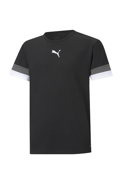 Puma TeamRISE