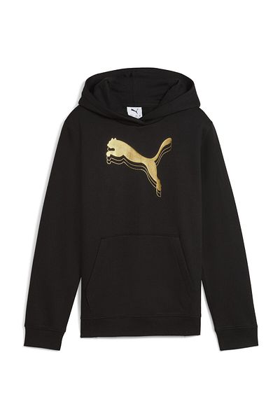 Puma Суичъри с качулка, Стандартен, Дълъг ръкав, Стандартен, Джоб тип кенгуру, Плетени, Принт с лого