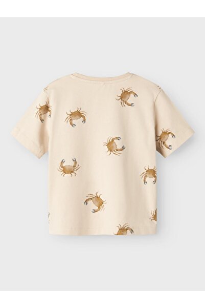 name ıt Nmmfille Ss Top Box