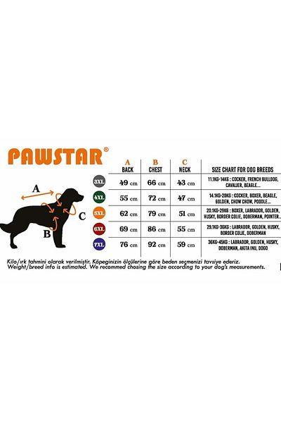 Pawstar Watermelon T-Shirt Big Breed
