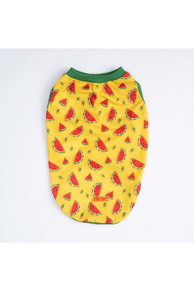 Pawstar Watermelon T-Shirt Big Breed