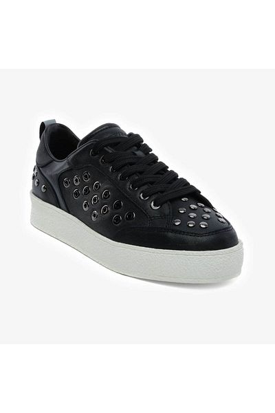Greyder 5Y2UA34442-34442 ZN ΑΡΧΗ ΑΥΚ (Σ)