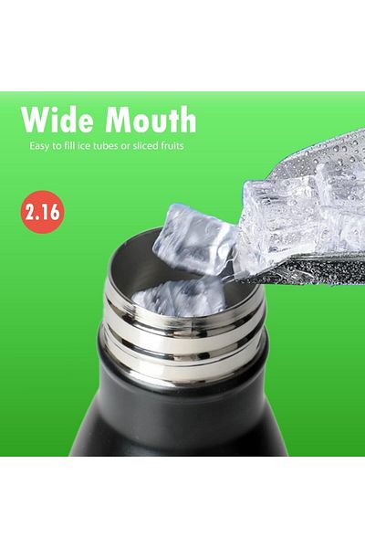 Generic Bister Insulated Stainless Steel Water Bottle- Tempsheild Technology | 24Hrs Cold |12 Hrs Hot | BPA