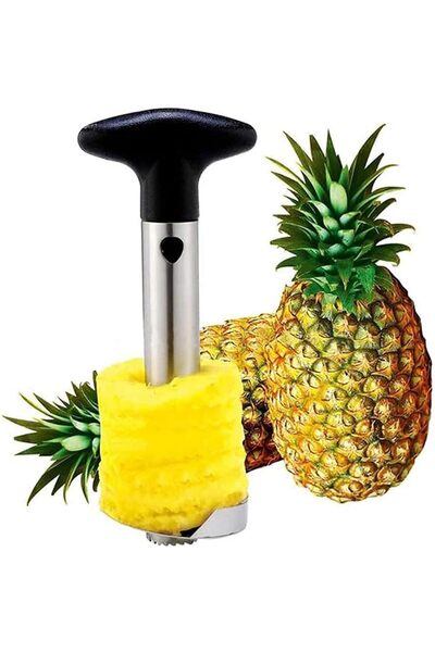 Generic أداة تقطيع وتقشير الأناناس من تازويق، قطاعة أناناس من الفولاذ المقاوم للصدأ مع شفرة معدنية حادة و
