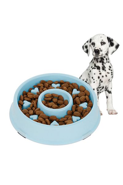 PUFO Bol pentru hrănire lentă Healthy Diet pentru câini, 20 cm, albastru
