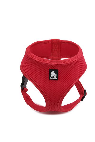 True Love Red Cat-dog Collar