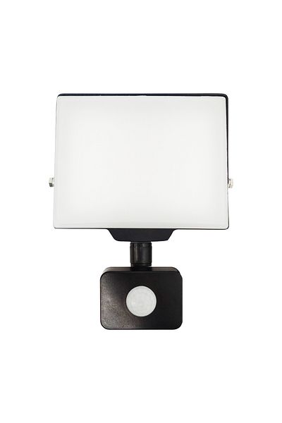Adviti LED Floodlight, Orno, Aluminum\Polycarbonate, White\Black, 30W, IP44