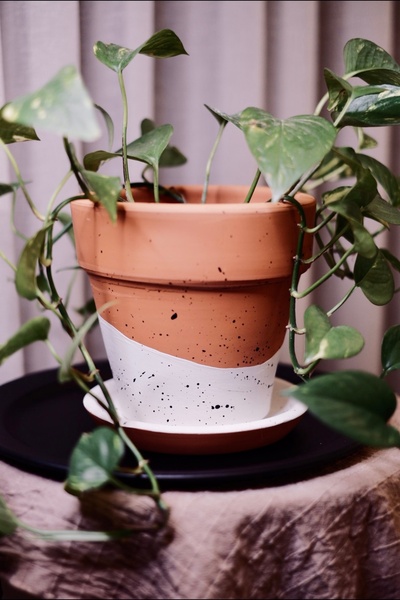 zef design store Terracotta Konik Saksı+Tabak•Siyah-Beyaz Benekli•5 Farklı Se...