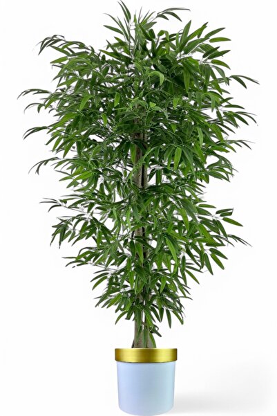 ERHAN FLOWERS ÇİÇEK & DEKORASYON Tek gövdeli bambu ağaç yapay ıslak doku beya...