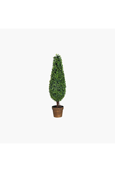 JASMIN CONCEPTS Saksılı Boxwood Ağaç Uzun 19X19X89cm