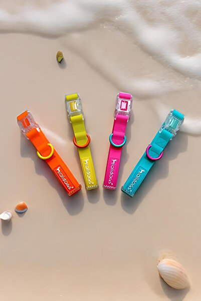 Lolidogs Jelly Collection Köpek Boyun Tasması Berry