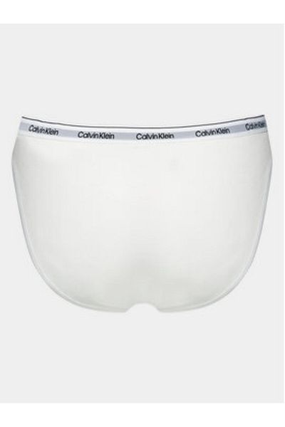 Calvin Klein underwear Women's Classic Briefs 000QD5044E White