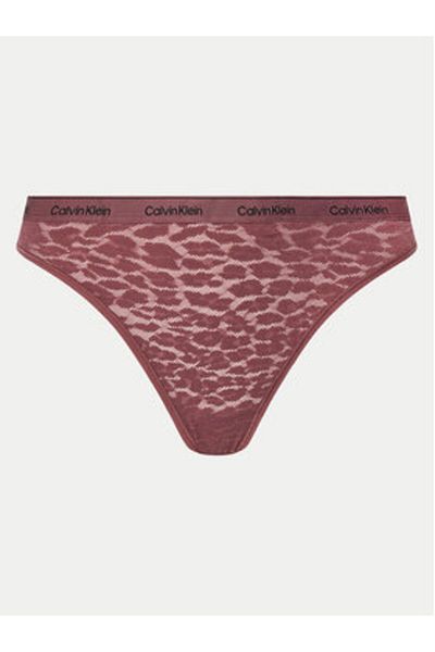 Calvin Klein underwear Women's Set of 5 pairs of classic briefs 000QD5253E Colorful
