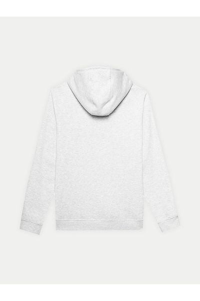 4F Men's Sweatshirt 4FWSS24TSWSM0950 Gray