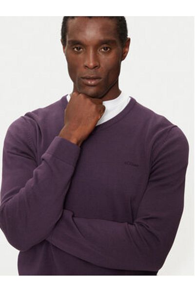 s.Oliver s oliver Men's Sweater 10.3.11.17.170.2143174 Purple