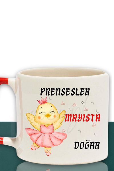 qoeuyl boutique Princesses Are Born This Month Printed Birthday Gift for Friend, Lover Red Handled Mug Cup