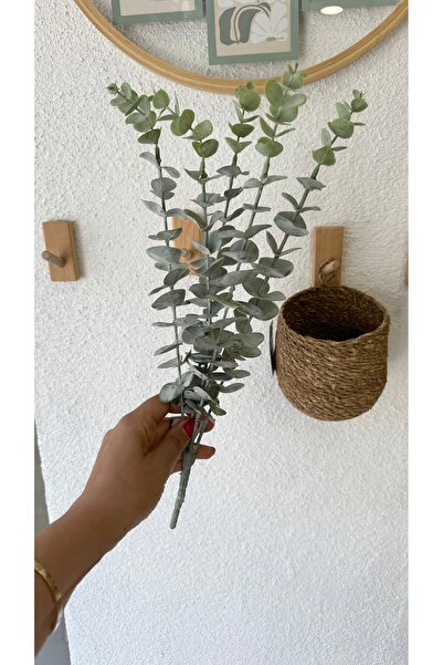 Decamor home 1. Kalite Yapay Pinterest Model Okaliptus 45 cm
