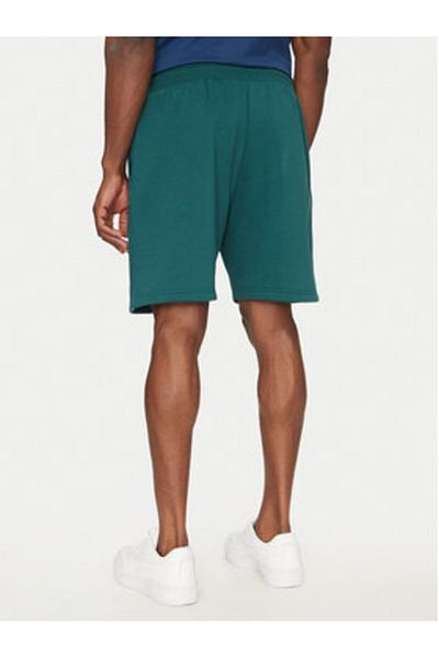 THE NORTH FACE Men's Sports Shorts NF0A8C1JA1B1 Green