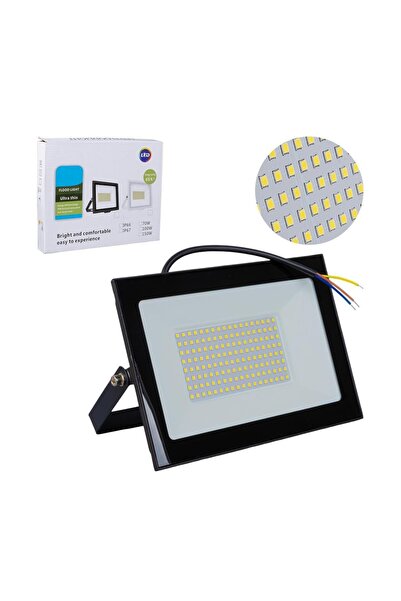 Powermaster PM-22572 100 Watt - 220 Volt 6500K IP66 150* Işık Açısı Siyah Sli...