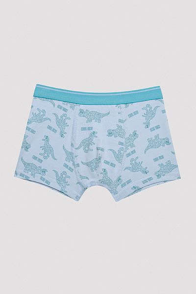 Penti Boy's Cool Dino Navy Blue 2-Piece Boxer
