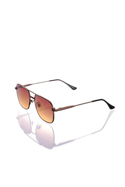 AR COLLECTİON Plus Men Metal Sunglasses Ar318 C53