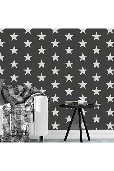 OEM Sablon Perete vopsire, tencuiala 900x600x0.7mm Star Pattern Refolosibil, model MXSP7127