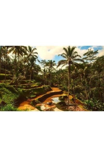 ve Tablou Canvas, Palmieri, Bali, 80 x 50 cm, Rama lemn, Multicolor