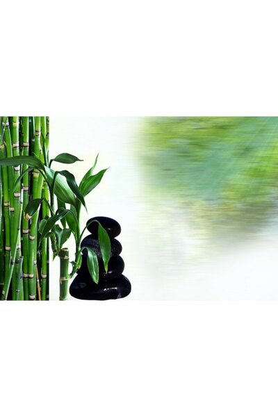 ve Tablou Canvas, Relaxare, Bambus, Zen, 80 x 50 cm, Rama lemn, Multicolor