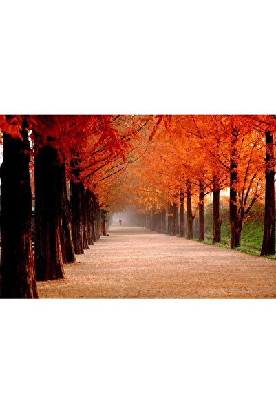 ve Tablou Canvas, Toamna, Alee cu frunze rosii, 80 x 50 cm, Rama lemn, Multic...