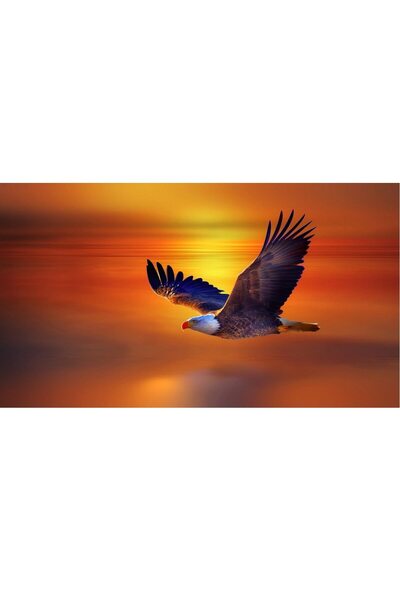 ve Tablou Canvas, Vultur in zbor, apus, 80 x 50 cm, Rama lemn, Multicolor