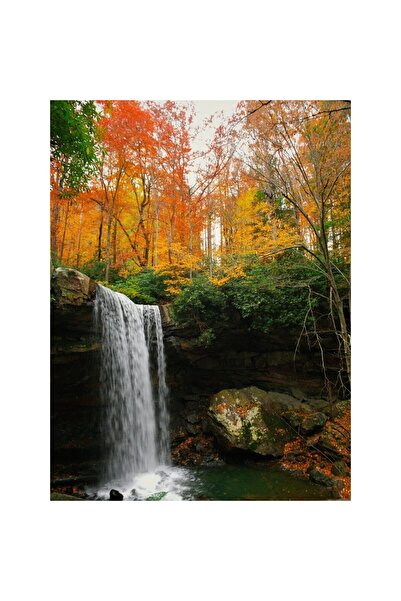 ve Tablou Canvas,Toamna, Cascada, Copaci, Galben, 60 x 80 cm, Rama lemn, Mult...